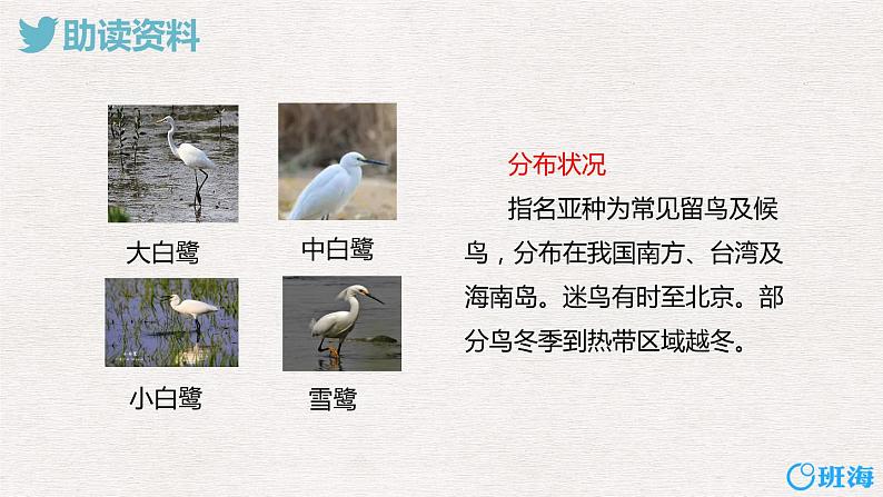 1.白鹭（2个课时）课件+教案07