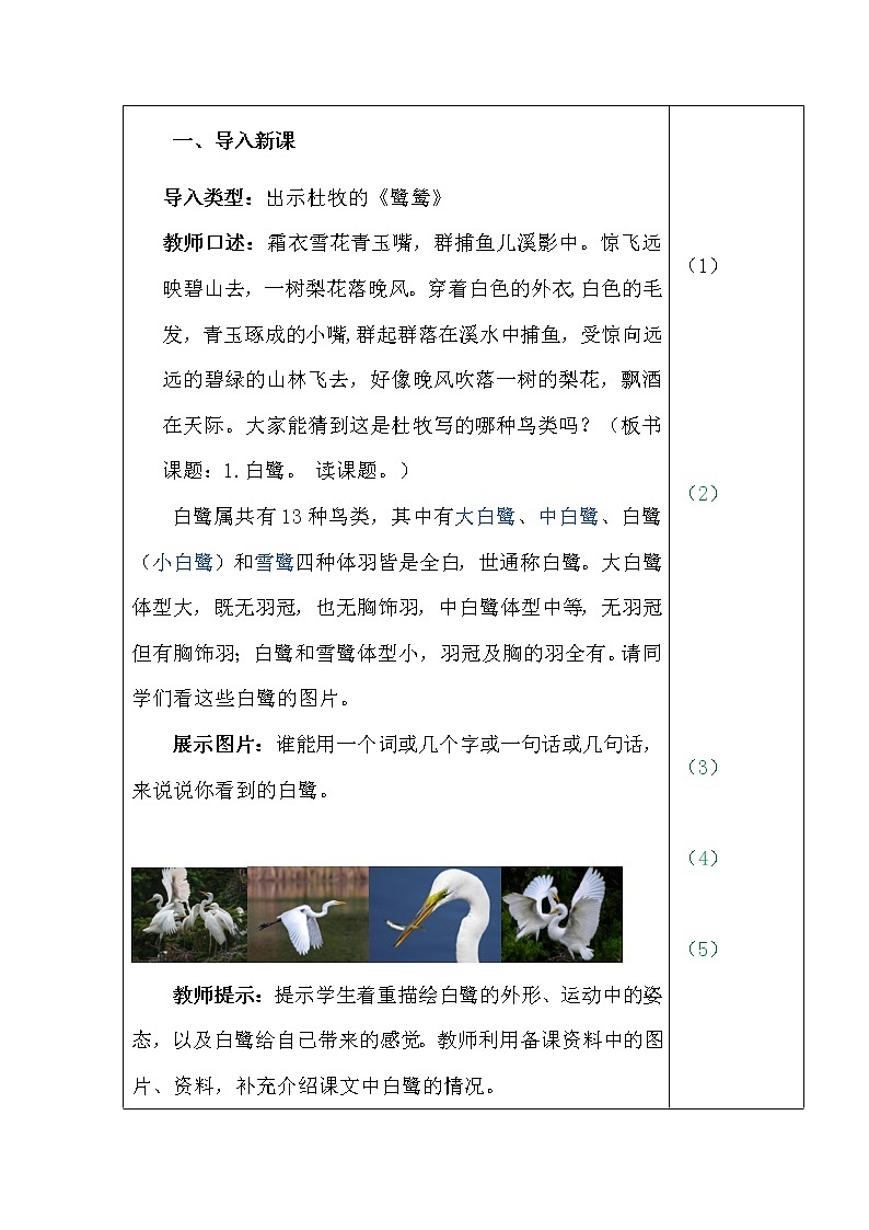 1.白鹭（2个课时）课件+教案02