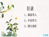 3.桂花雨（2个课时）课件+教案