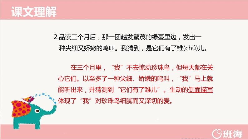 4.珍珠鸟（2个课时）课件+教案07