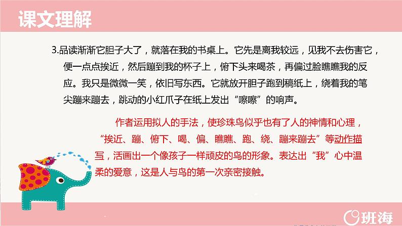 4.珍珠鸟（2个课时）课件+教案08