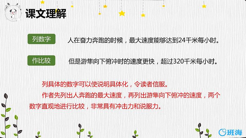 部编版语文五年级上册-7.什么比猎豹的速度更快 第2课时 【课件】第8页