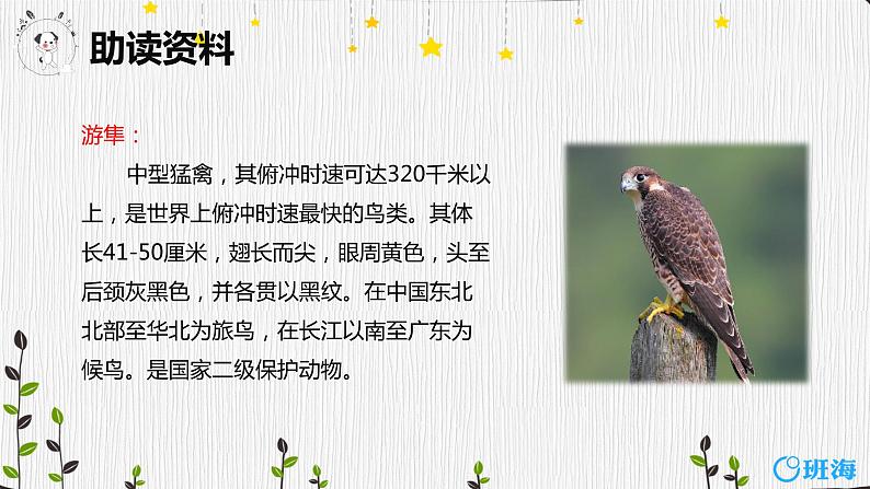 部编版语文五年级上册-7.什么比猎豹的速度更快 第1课时 【课件】第7页