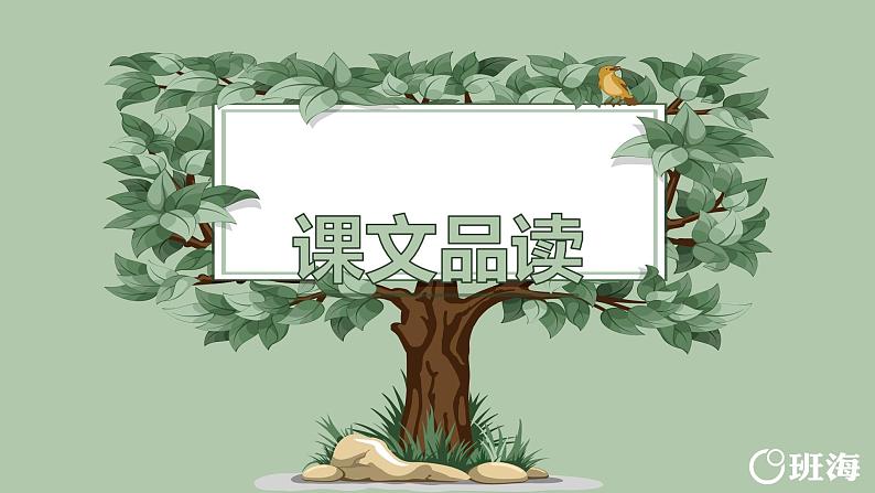 23.鸟的天堂（2个课时）课件+教案03