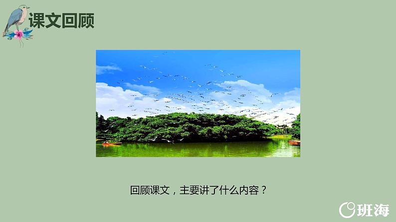 23.鸟的天堂（2个课时）课件+教案04