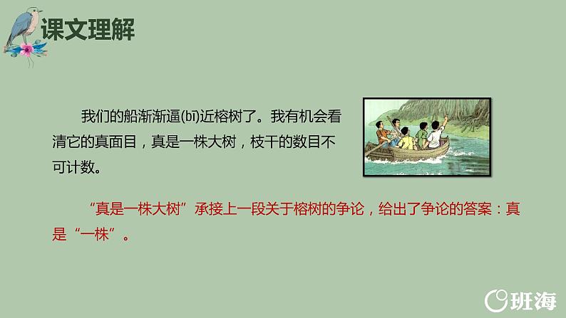 23.鸟的天堂（2个课时）课件+教案06