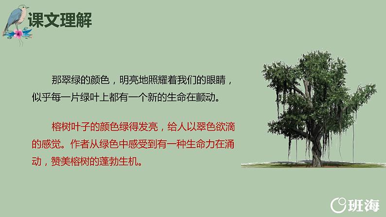 23.鸟的天堂（2个课时）课件+教案08