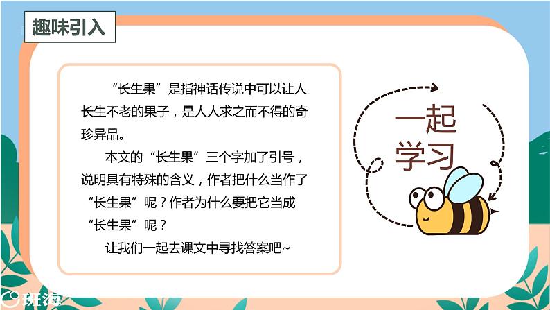 27.我的“长生果”（2个课时）课件+教案04