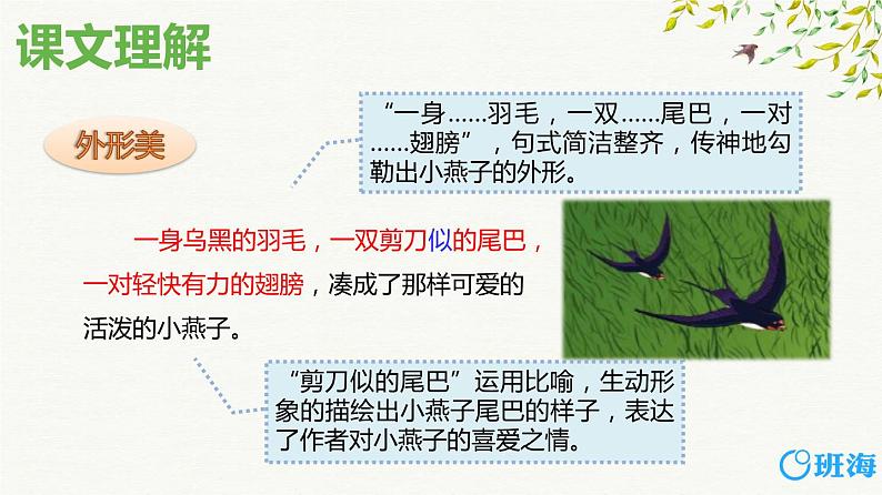 2.燕子（2个课时）课件+教案05