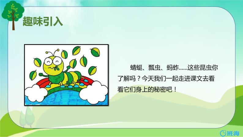 4.昆虫备忘录 课件+教案04