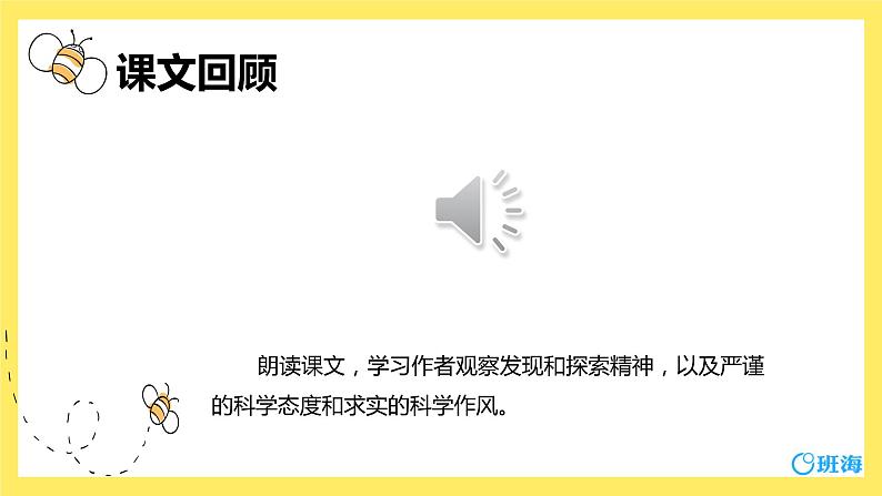14.蜜蜂（2个课时）课件+教案04