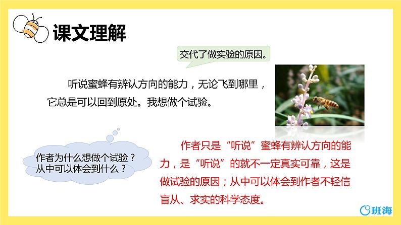 14.蜜蜂（2个课时）课件+教案05