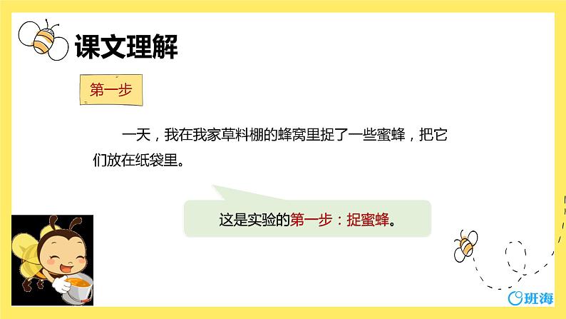 14.蜜蜂（2个课时）课件+教案06