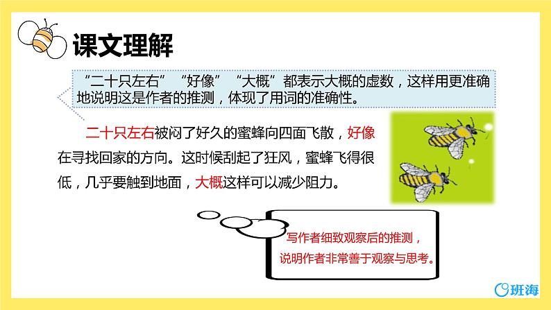 14.蜜蜂（2个课时）课件+教案08