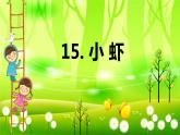 15.小虾 课件+教案