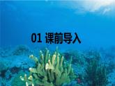 23.海底世界 （2个课时）课件+教案