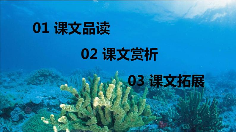 23.海底世界 （2个课时）课件+教案02