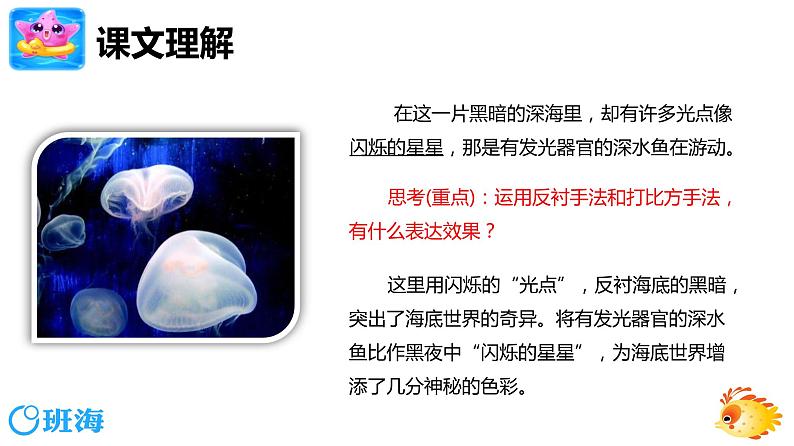 23.海底世界 （2个课时）课件+教案04