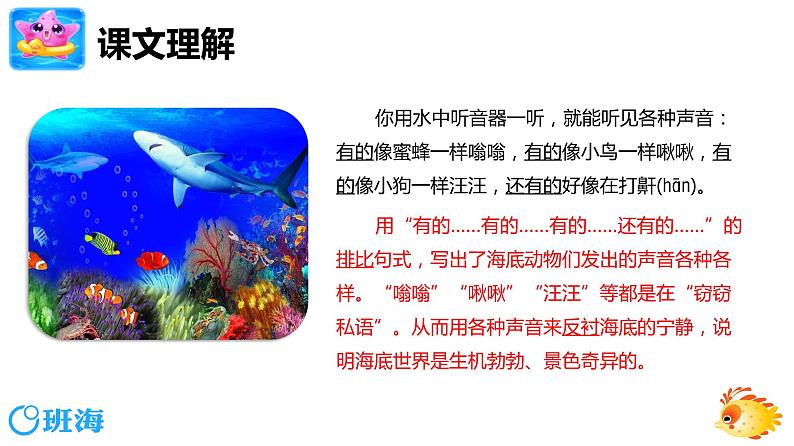 23.海底世界 （2个课时）课件+教案06