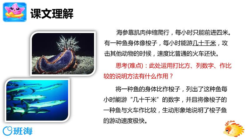 23.海底世界 （2个课时）课件+教案07