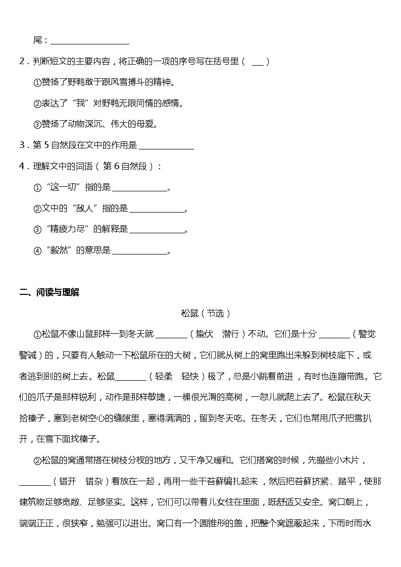 2021年统编版五年级上册第17课《松鼠》阅读理解（含答案）练习题02