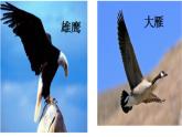 部编版语文二年级上册 3  拍手歌（课件）