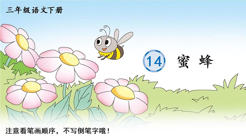 14 蜜蜂    生字教学课件（含自动播放配音）01