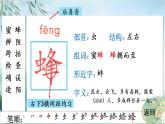 14 蜜蜂    生字教学课件（含自动播放配音）