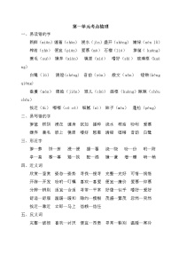 部编版语文五年级上册第一单元考点梳理课件PPT