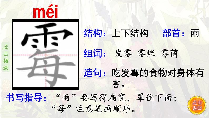 5.鲁滨逊漂流记（笔顺动漫）课件PPT第7页