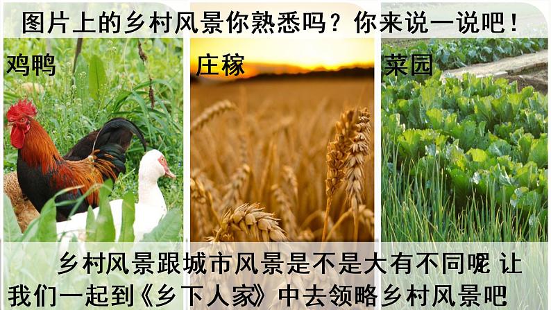 部编版语文四年级下册2 乡下人家优质课件+素材01