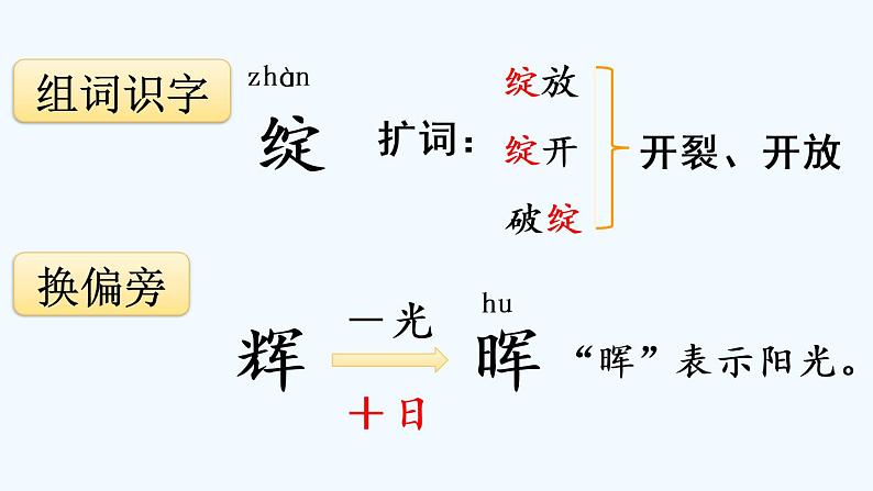 白桦PPT课件免费下载08