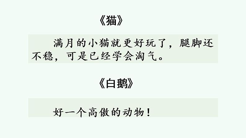 部编版语文四年级下册语文园地优质课件+素材06