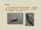 童年的发现PPT课件免费下载