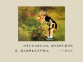 童年的发现PPT课件免费下载