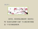 部编版语文五年级下册4.梅花魂优质课件