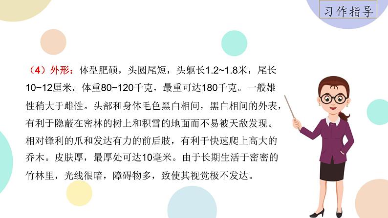 部编版小学语文三年级下册第7单元习作：国宝大熊猫  课件08