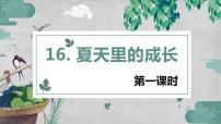 小学人教部编版第五单元16 夏天里的成长评优课ppt课件