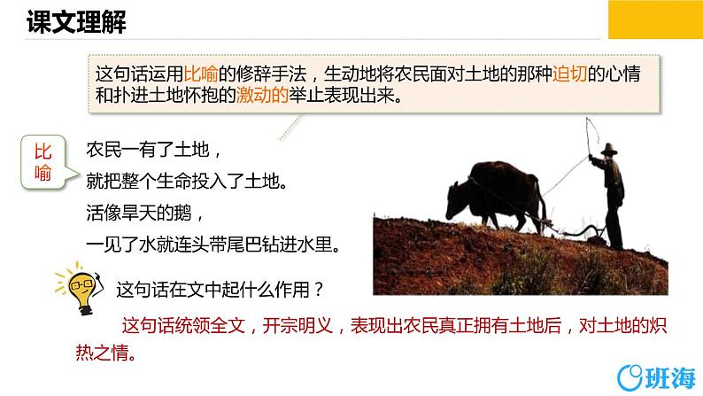 部编版语文六年级上册-21.三黑和土地  优质课件+优秀教案04