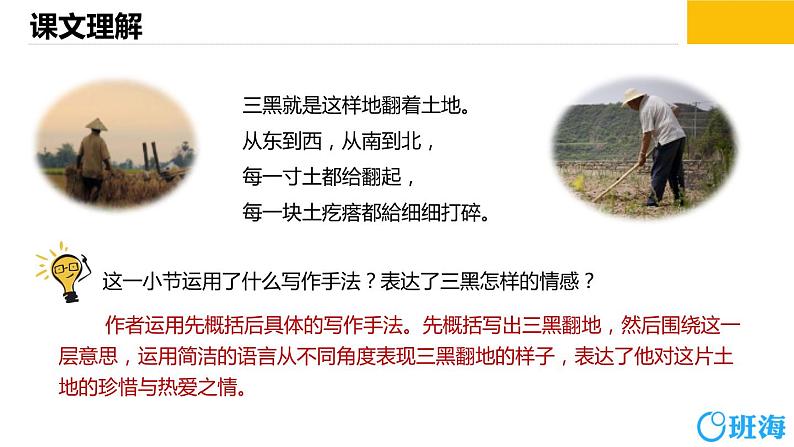 部编版语文六年级上册-21.三黑和土地  优质课件+优秀教案05