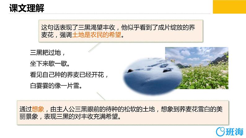 部编版语文六年级上册-21.三黑和土地  优质课件+优秀教案07