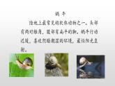 统编版语文一年级上册 同步备课课件小蜗牛