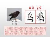 统编版语文一年级上册 同步备课课件乌鸦喝水
