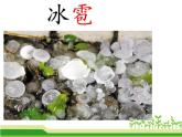 20 《雾在哪里》-第一课时（公开课））课件PPT
