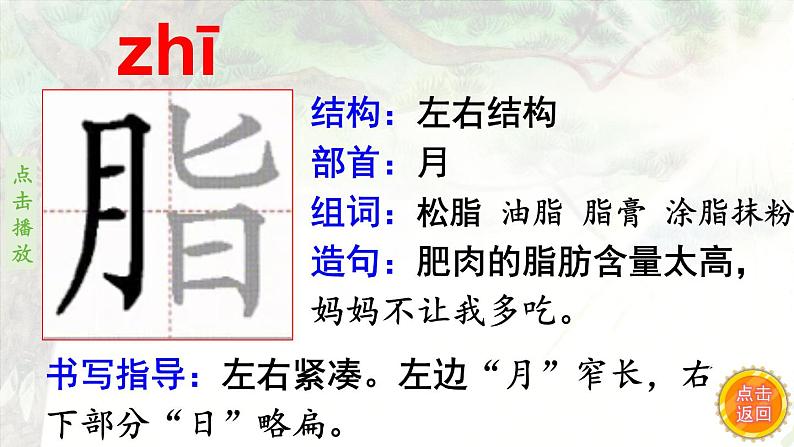 5.琥珀    生字课件（笔顺动漫）04