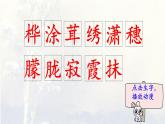 11.白桦    生字课件（笔顺动漫）