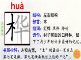 11.白桦    生字课件（笔顺动漫）