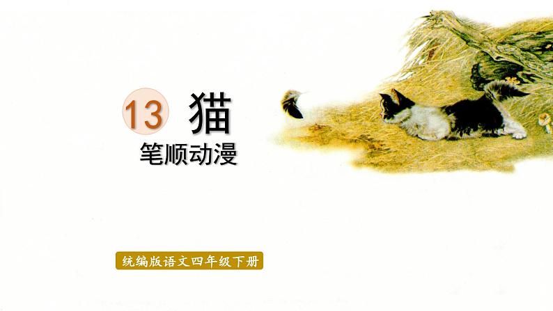 13.猫    生字课件（笔顺动漫）01
