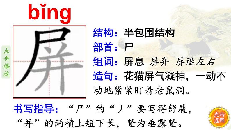 13.猫    生字课件（笔顺动漫）07
