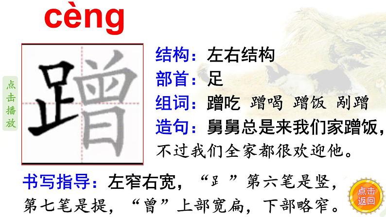 13.猫    生字课件（笔顺动漫）08